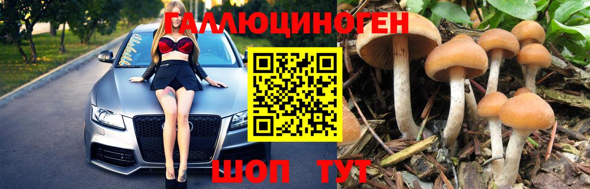 магазин продажи   Псилоцибиновые грибы Magic Shrooms  Бутурлиновка  Вход с VPN  Псилоцибиновые грибы Cubensis 