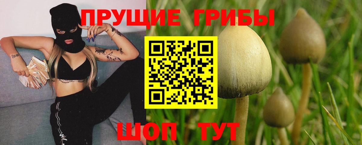 Псилоцибиновые грибы ЛСД Бутурлиновка